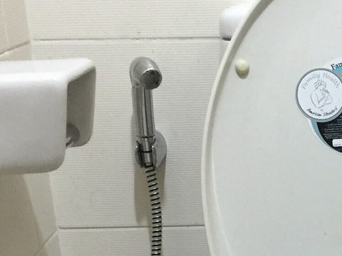 20150421a_toilet