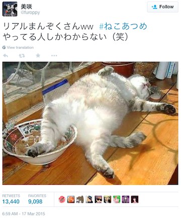 20150507a_neko4d