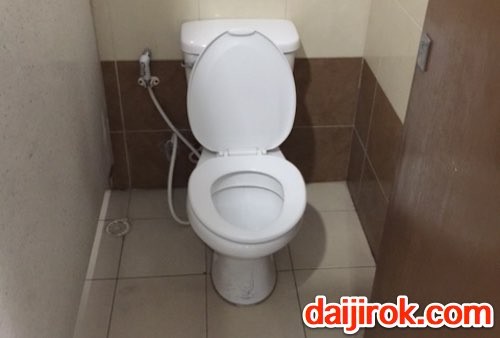 20160325a_toilet